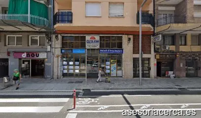 GESTION LEIN