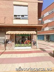 Imagen 2