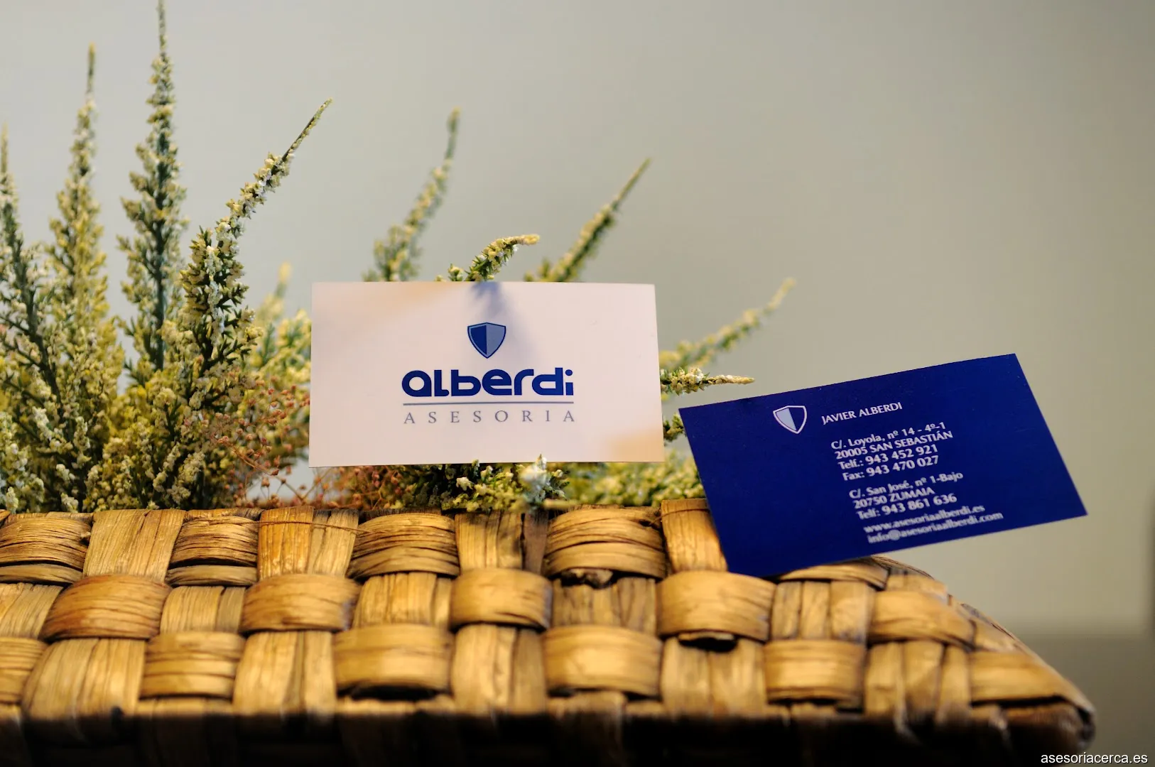 Asesoria Alberdi