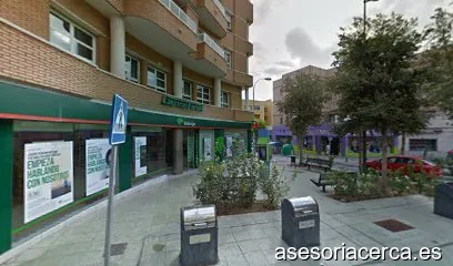 Gestion Fiscal Ejido srl
