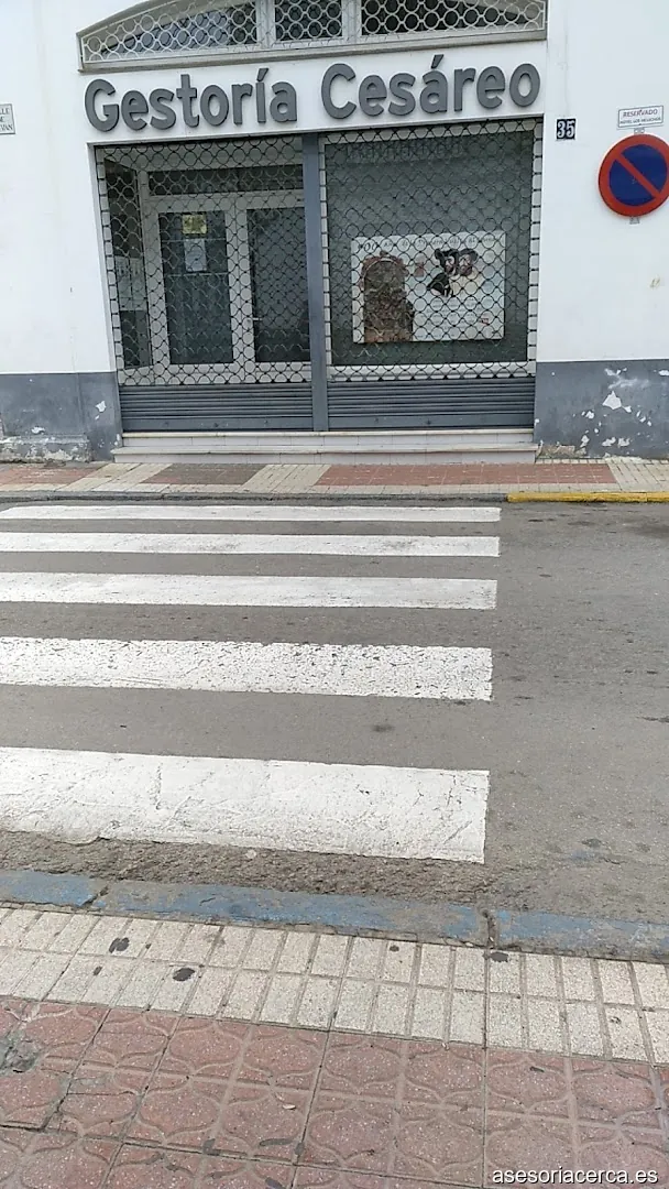 Gestoria Cesareo