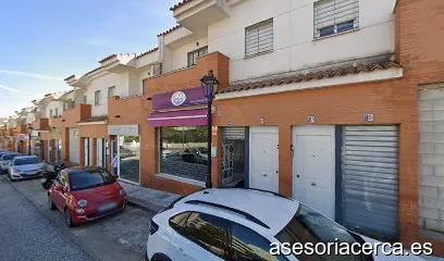 Synergy Asesores