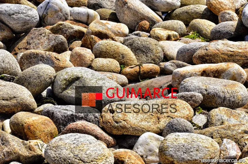 Guimarce Asesores