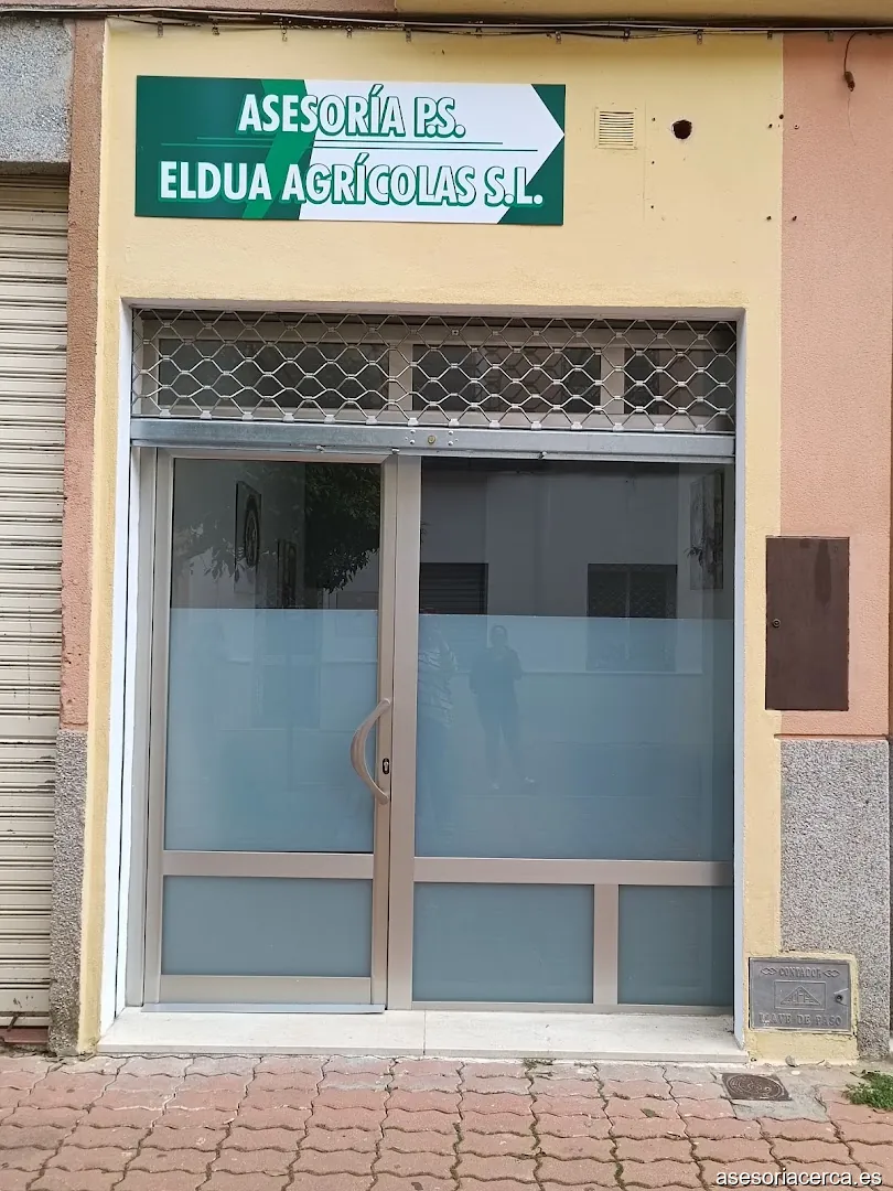 Asesoria P.S.