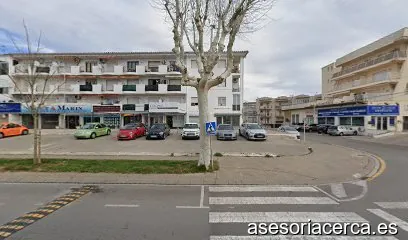 irene assessoria
