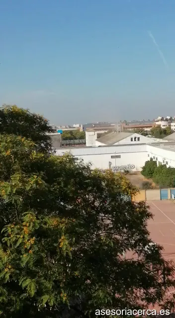 Imagen 2