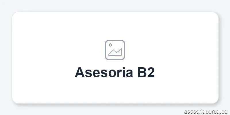Asesoria B2
