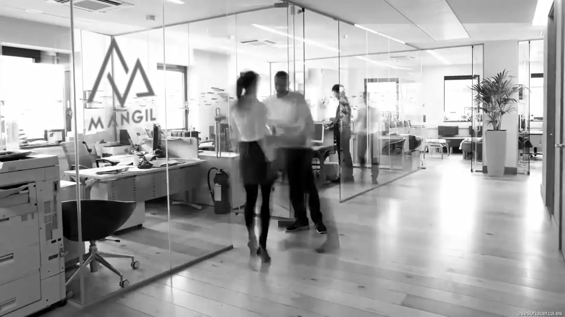 Mangil Asesoria SL