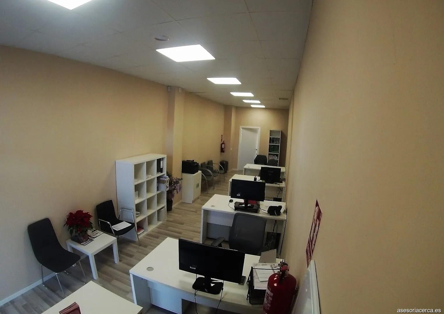 Imagen 2