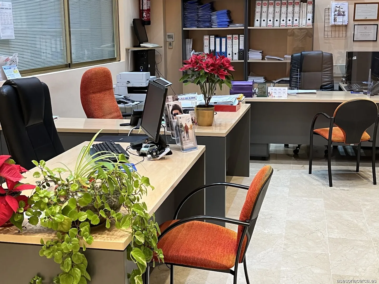 ASESORIA GONZALEZ MONTORO