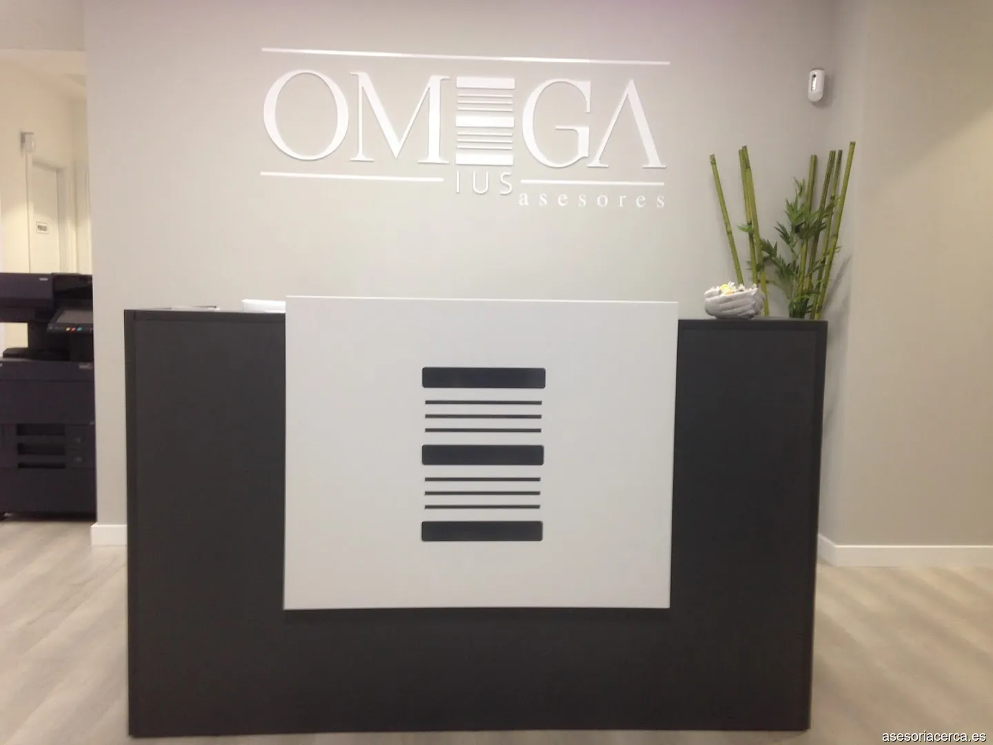 OMEGA IUS ASESORES