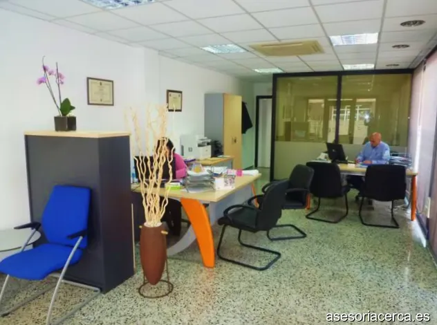 Asesoria Seimar