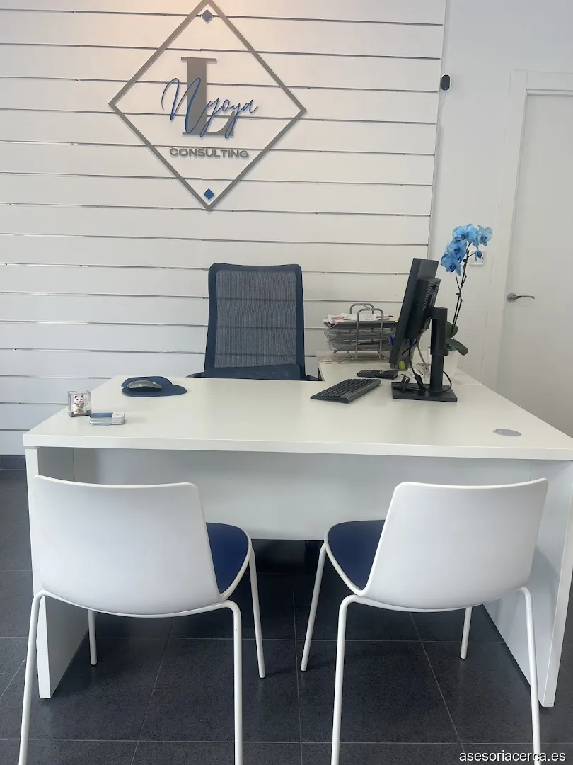 Asesoria Ngoya Consulting