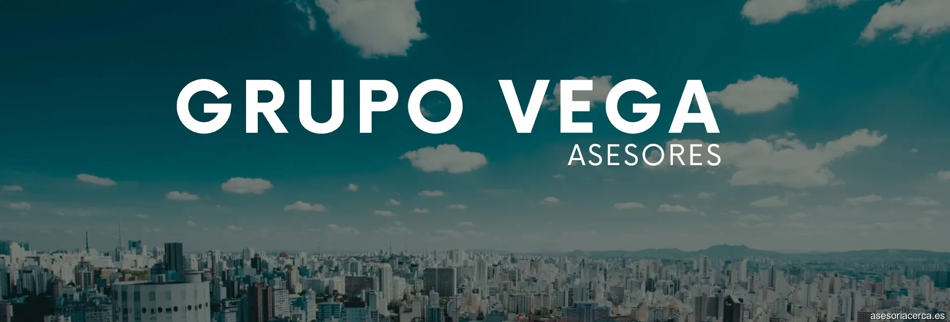 GRUPO VEGA ASESORES