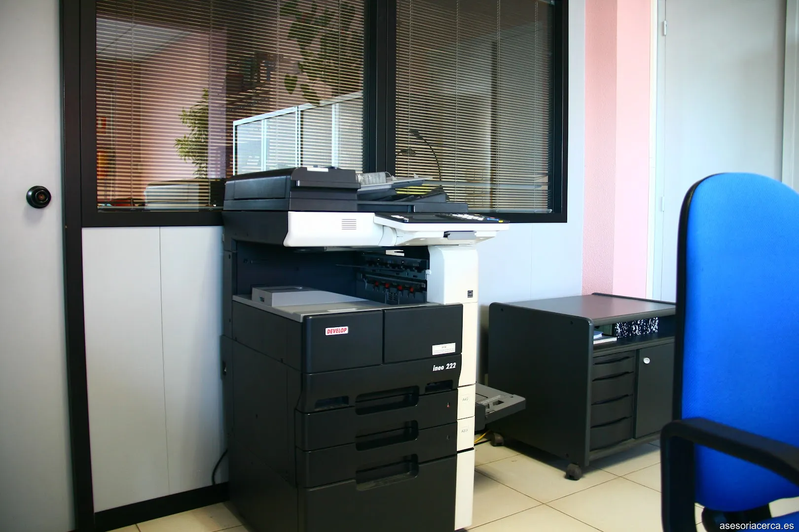 Imagen 2