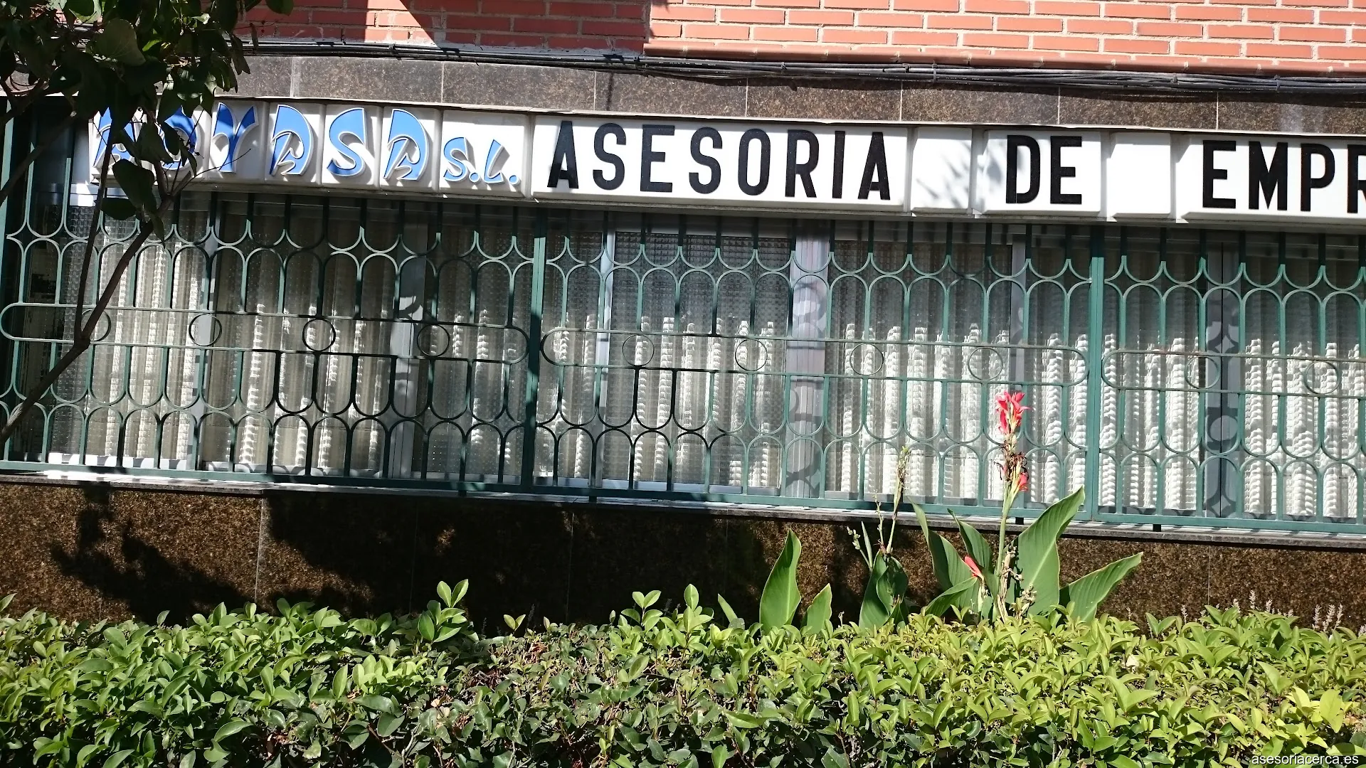 Imagen 1