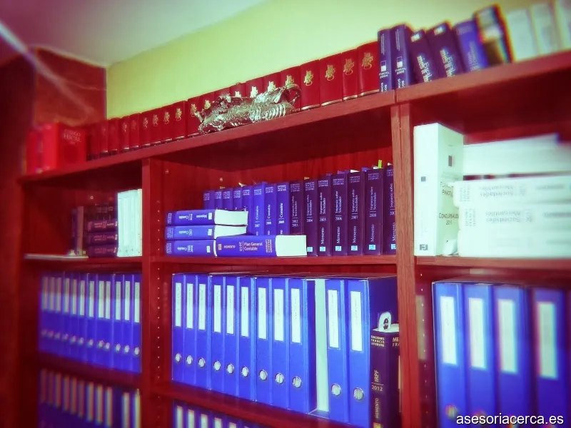 Asesoria fiscal y contable A.C.G.E.