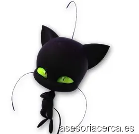Imagen 1