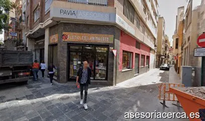 Imagen 1