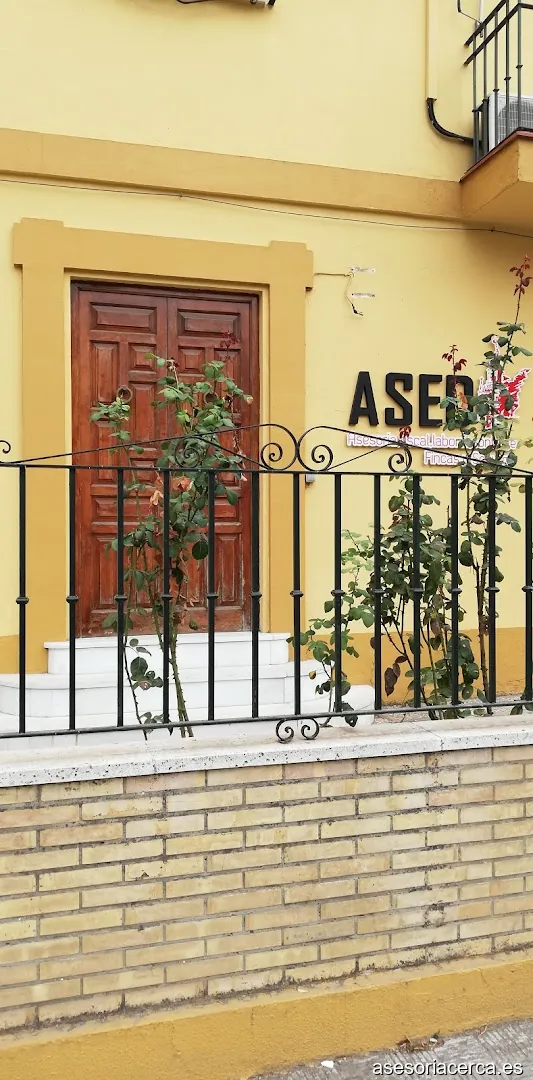 ASEDI Asesores y Consultores S.L.