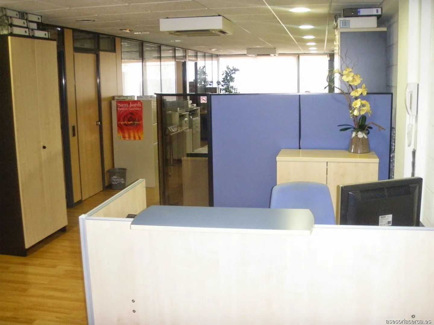 Imagen 2