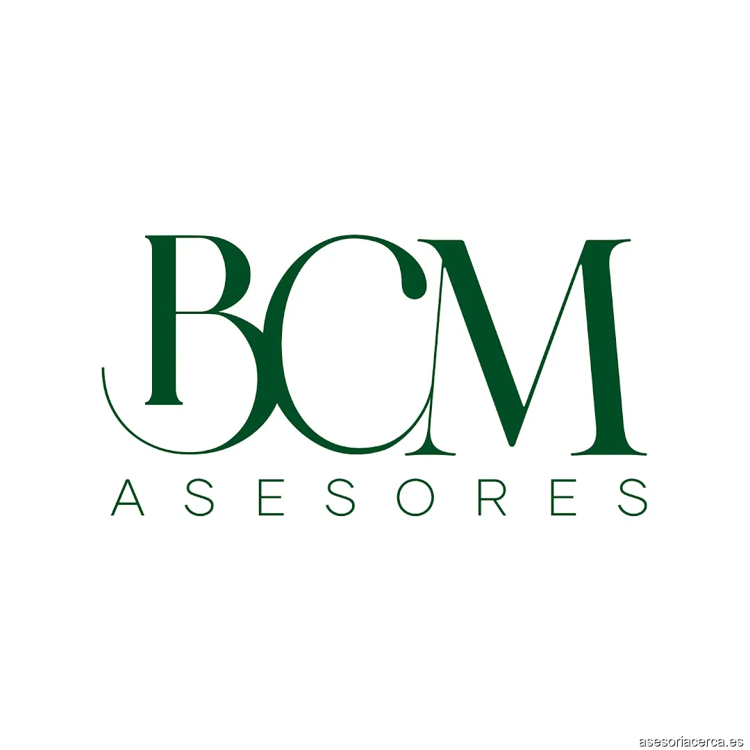 Bcm Asesores – foto 2