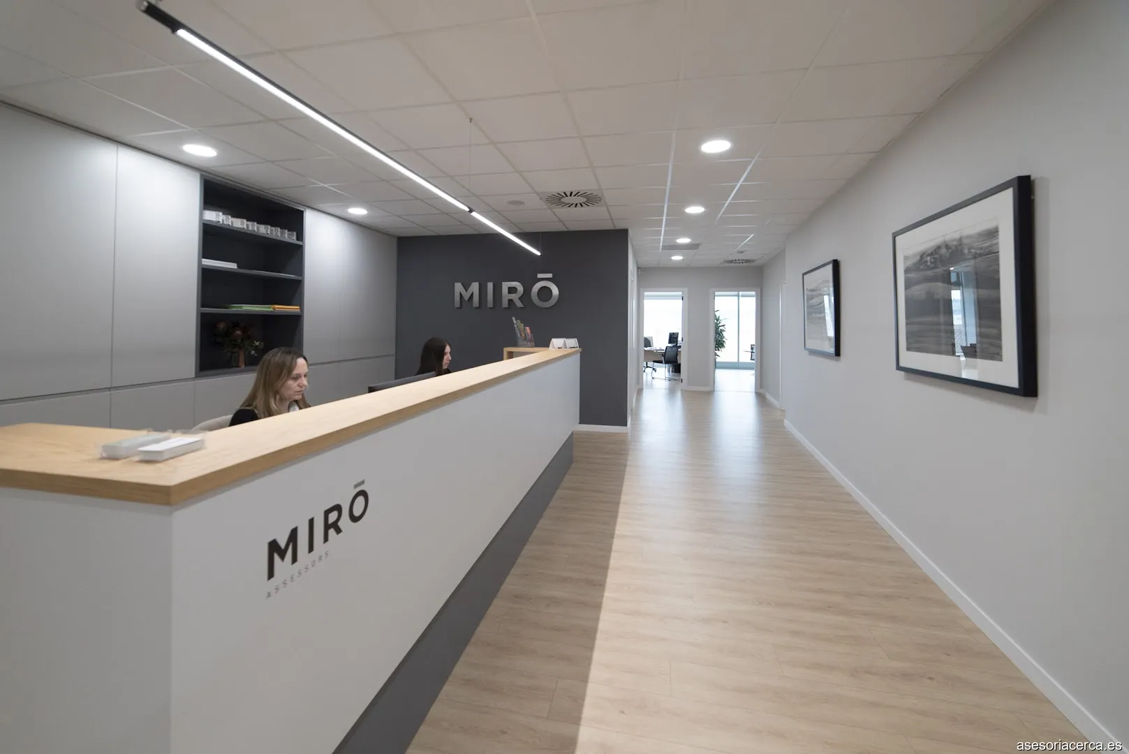 MIRO ASSESSORS