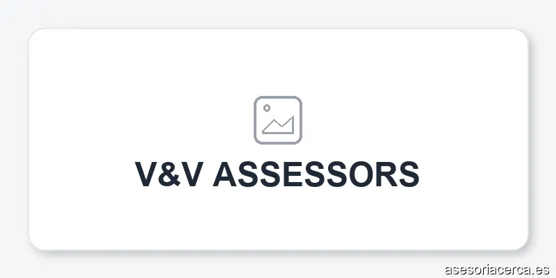 V&V ASSESSORS