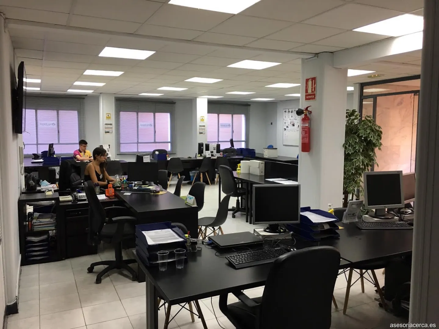Imagen 2