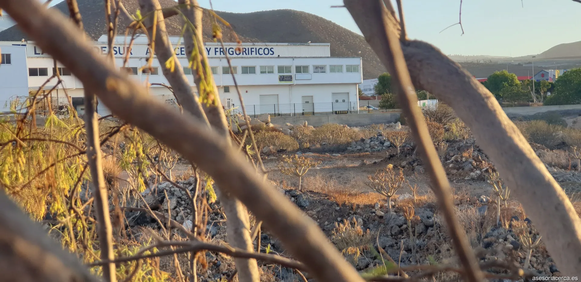 Imagen 2