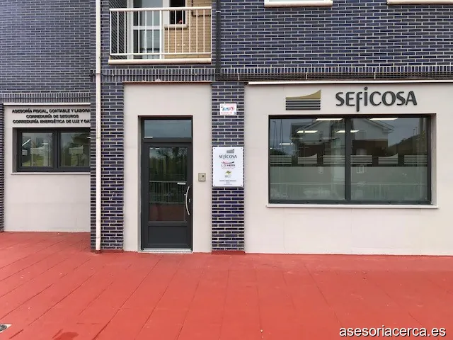 Seficosa S L