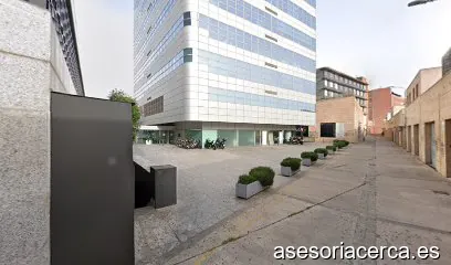 Gempsa, Gabinete Empresarial