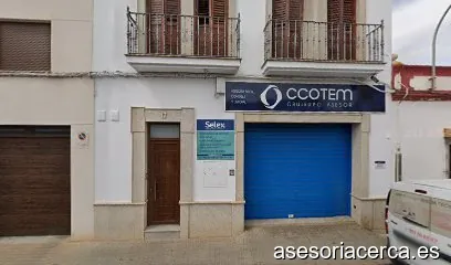 Grupo Asesor COTEM