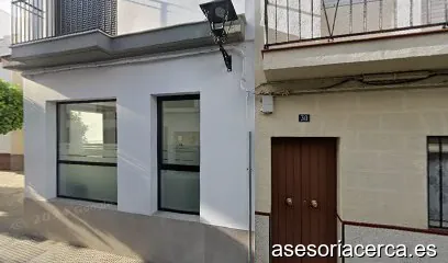 Ana Gutierrez Paez, Asesora