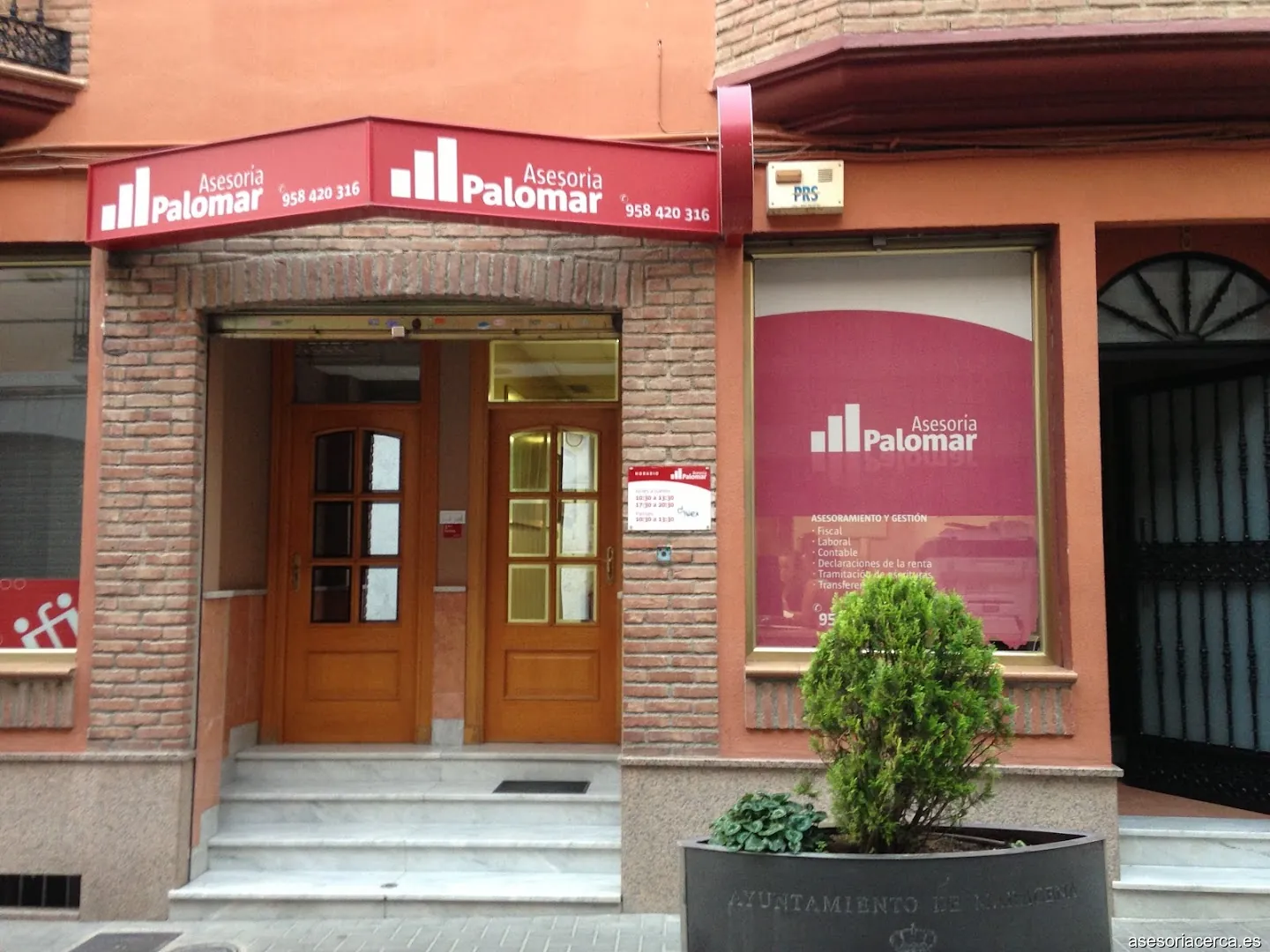 Asesoria Palomar