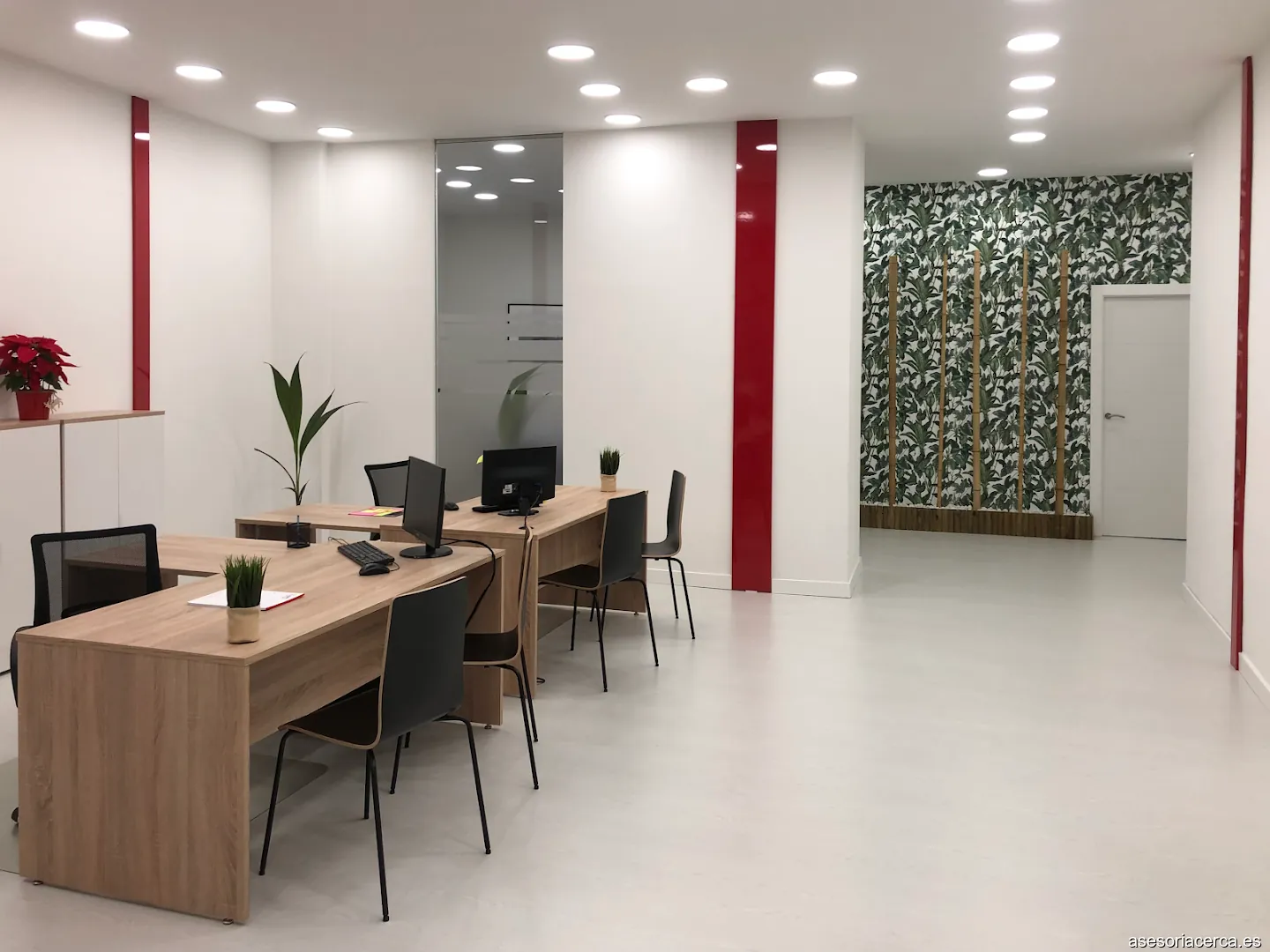 Imagen 2