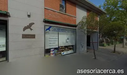 Bejar Iberia Asesoria Juridica