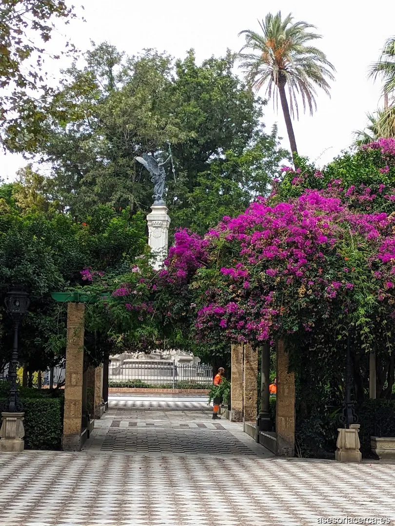 Imagen 1