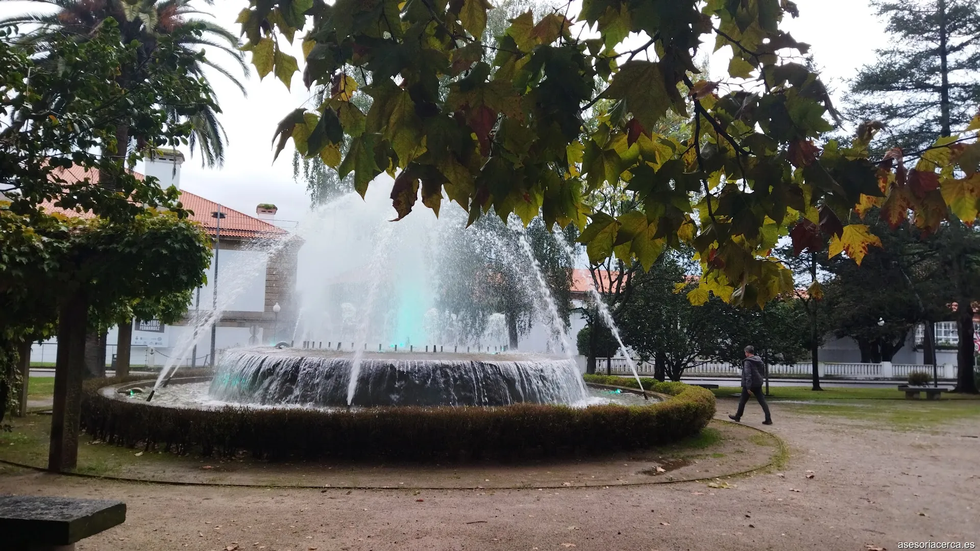 Imagen 1