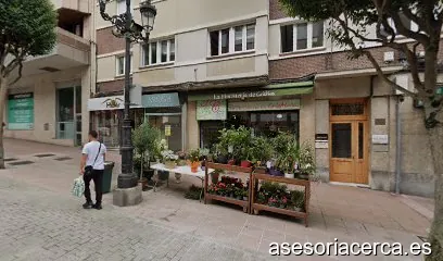Gestoria Velasco