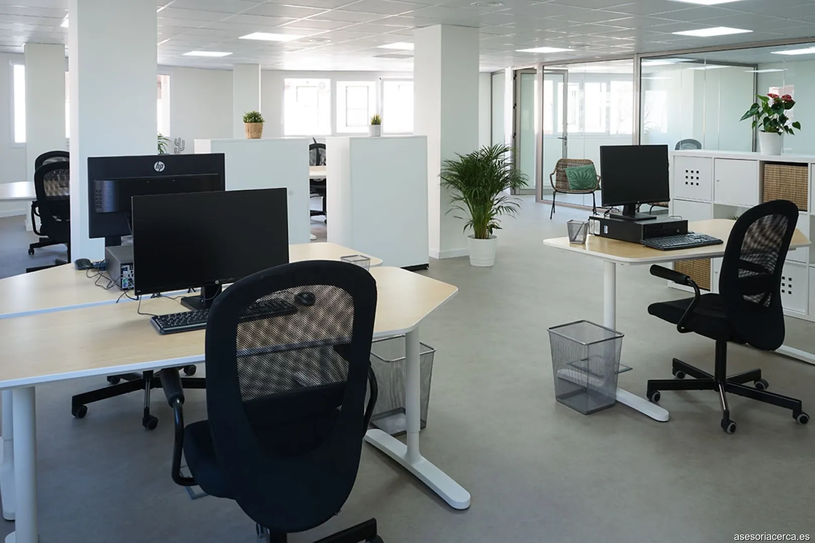 Indigo DC Consulting