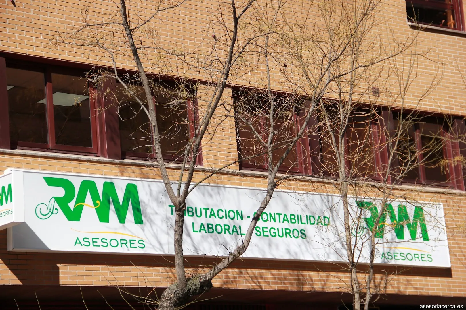 Imagen 1