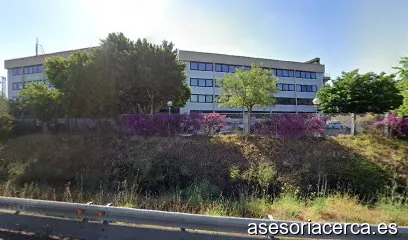 Son Fuster Asesores