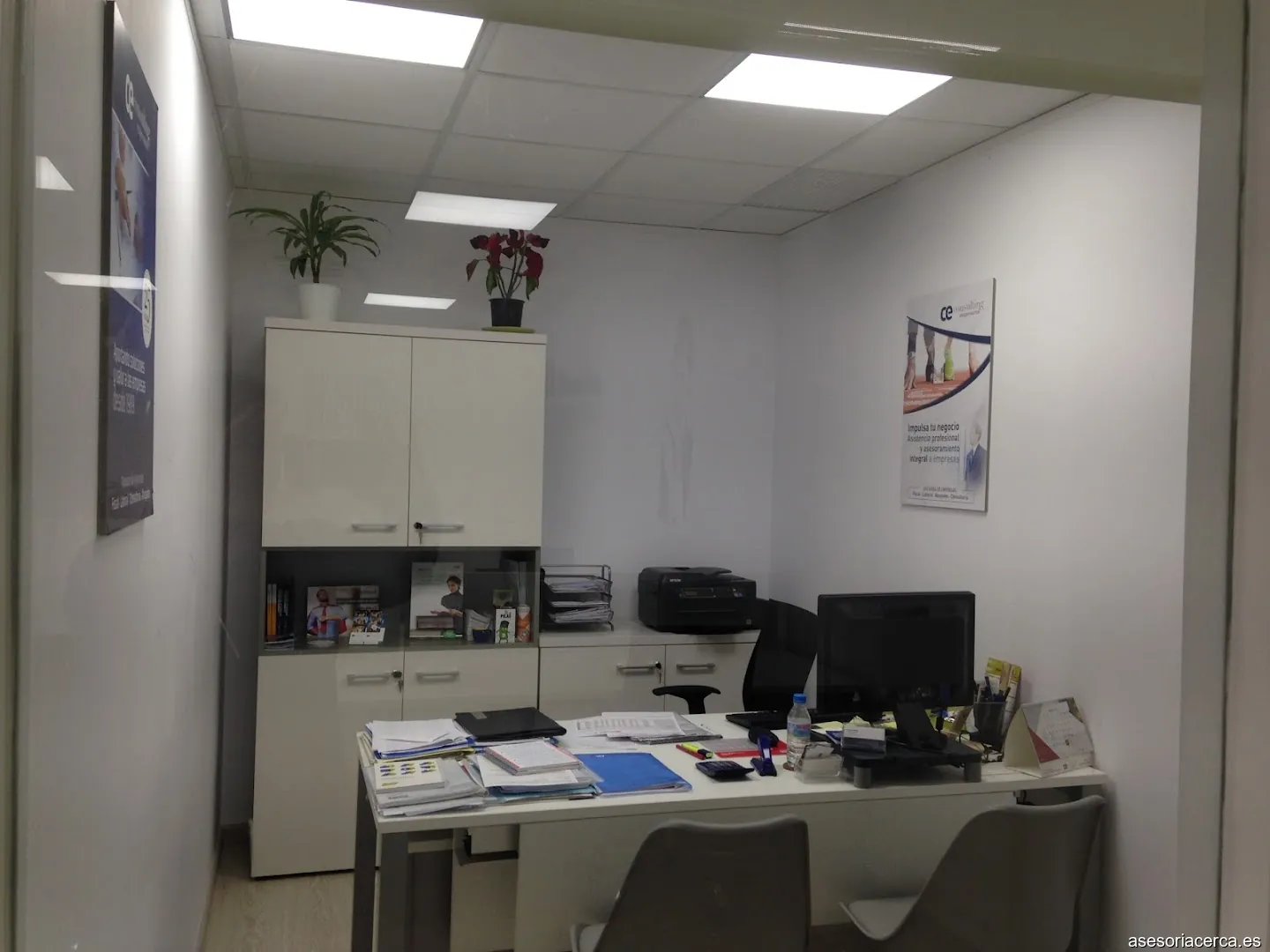 CE Consulting