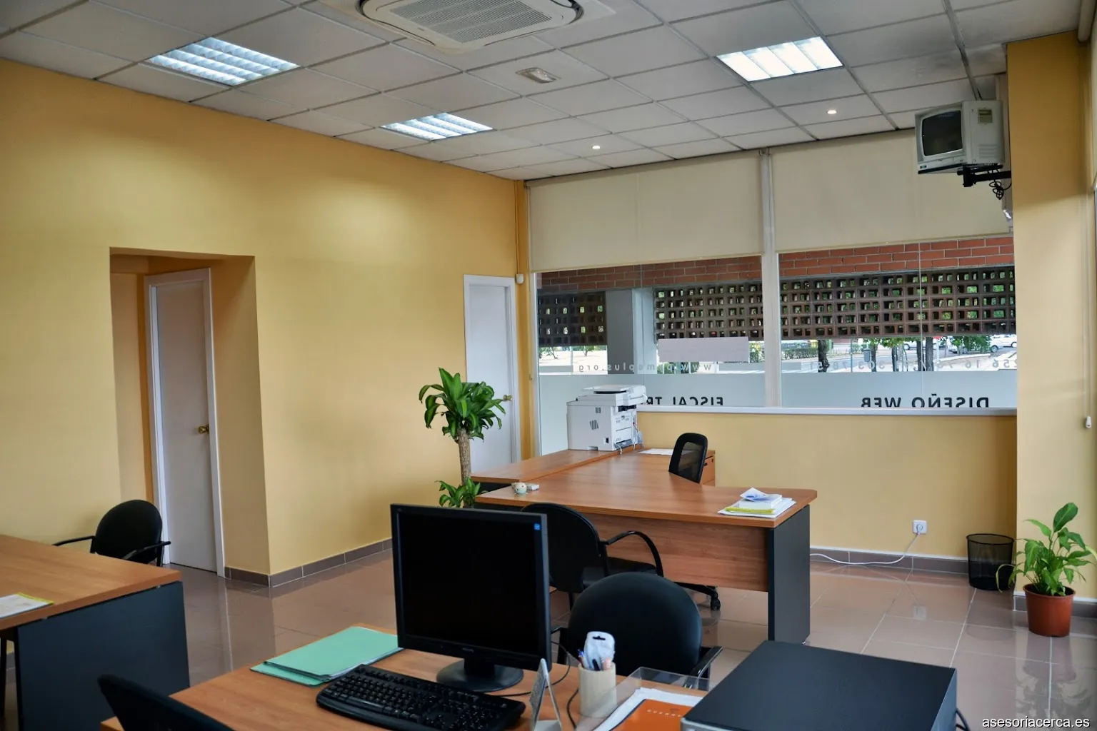 Imagen 2