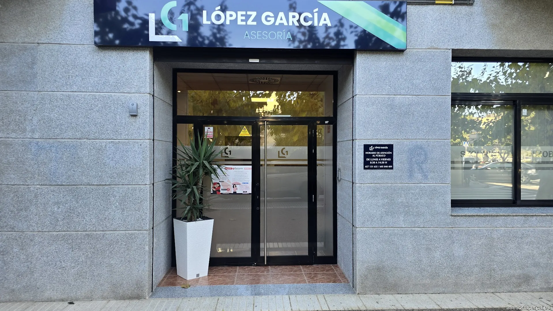 Imagen 2