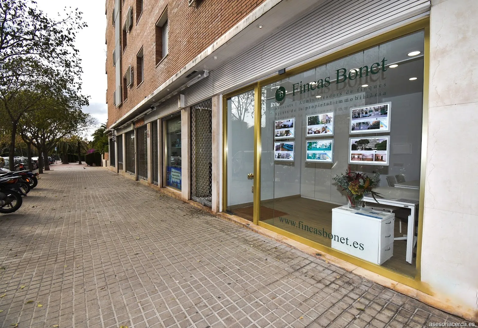 Imagen 2