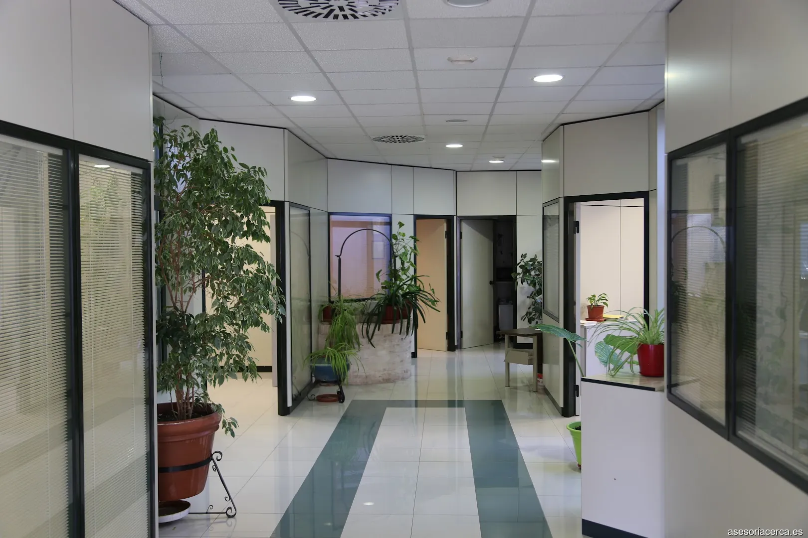 Consulere