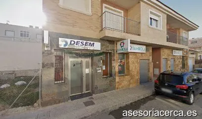 Desem Asesores