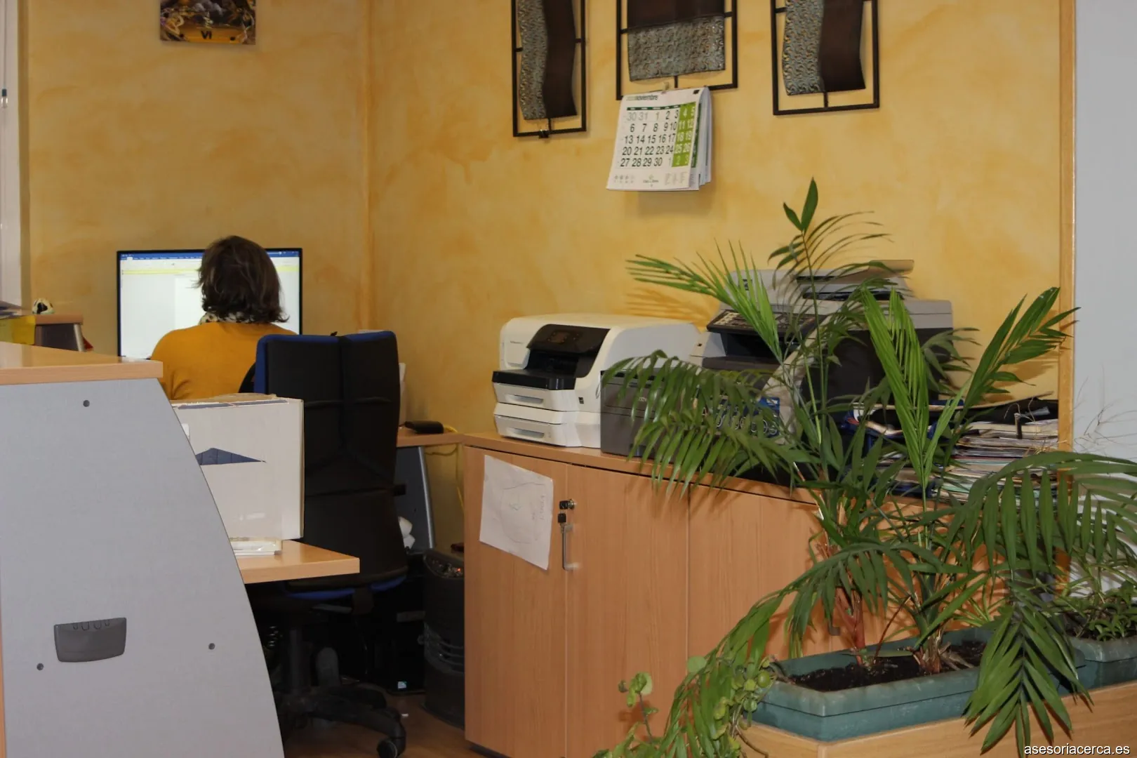 RyS asesoria